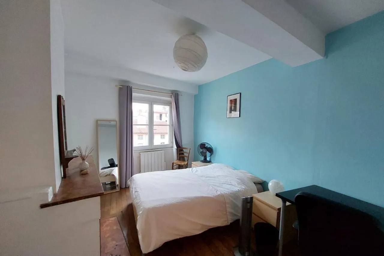Apartment Cocoon Of Love In The Heart Of Old Lyon France